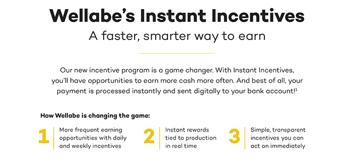Wellabe - Q3 Incentives